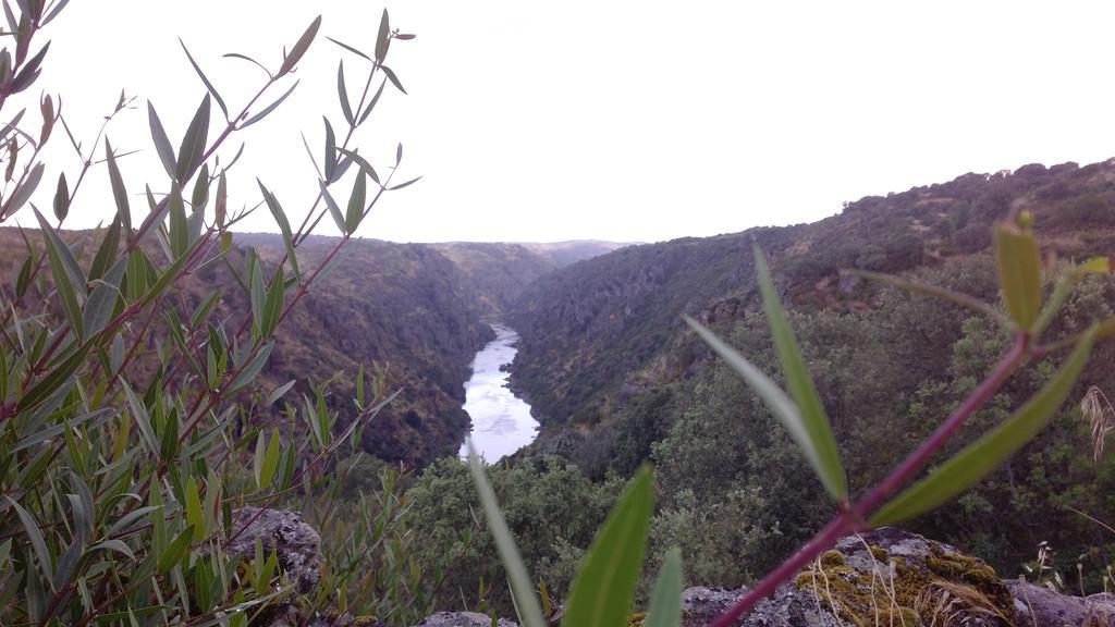 Puial De L Douro 3*