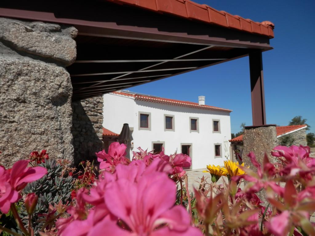 Puial De L Douro Guest house